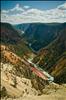 Grand Canyon of Yellowstone, Lower Falls